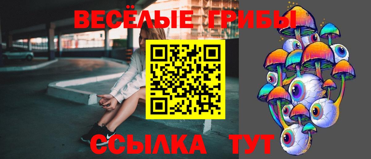 Псилоцибиновые грибы GOLDEN TEACHER Иваново